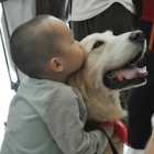 “Language is not the only way to communicate”: Canine therapists help China’s autistic children