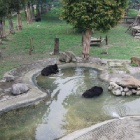Animals Asia bear sanctuary praised as exemplary by Chinese government