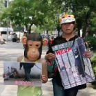 Think China doesn’t care about animals — these incredible young people will change your mind