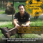 Sanctuary Stars: Read Rocky’s perfect explanation of bear “enrichment”