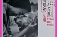 Scatti d’Amore: una Mostra Fotografica per le Strade di Chengdu