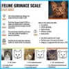 Feline Grimace Scale Training