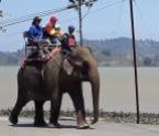 Elephant riding and elephant camps