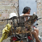Yulin authorities tell media there is no “dog meat ban”