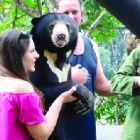 5 ways YOU can help end cruel exploitation for this sun bear family