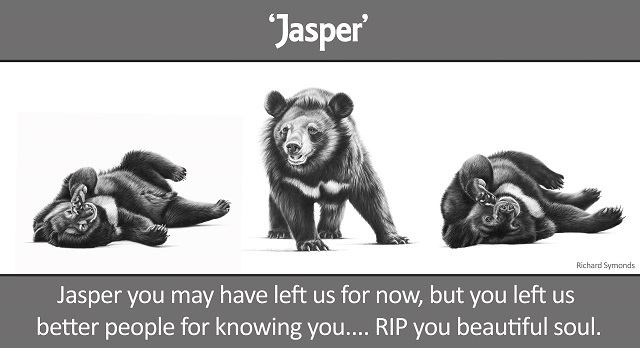 jasper banner