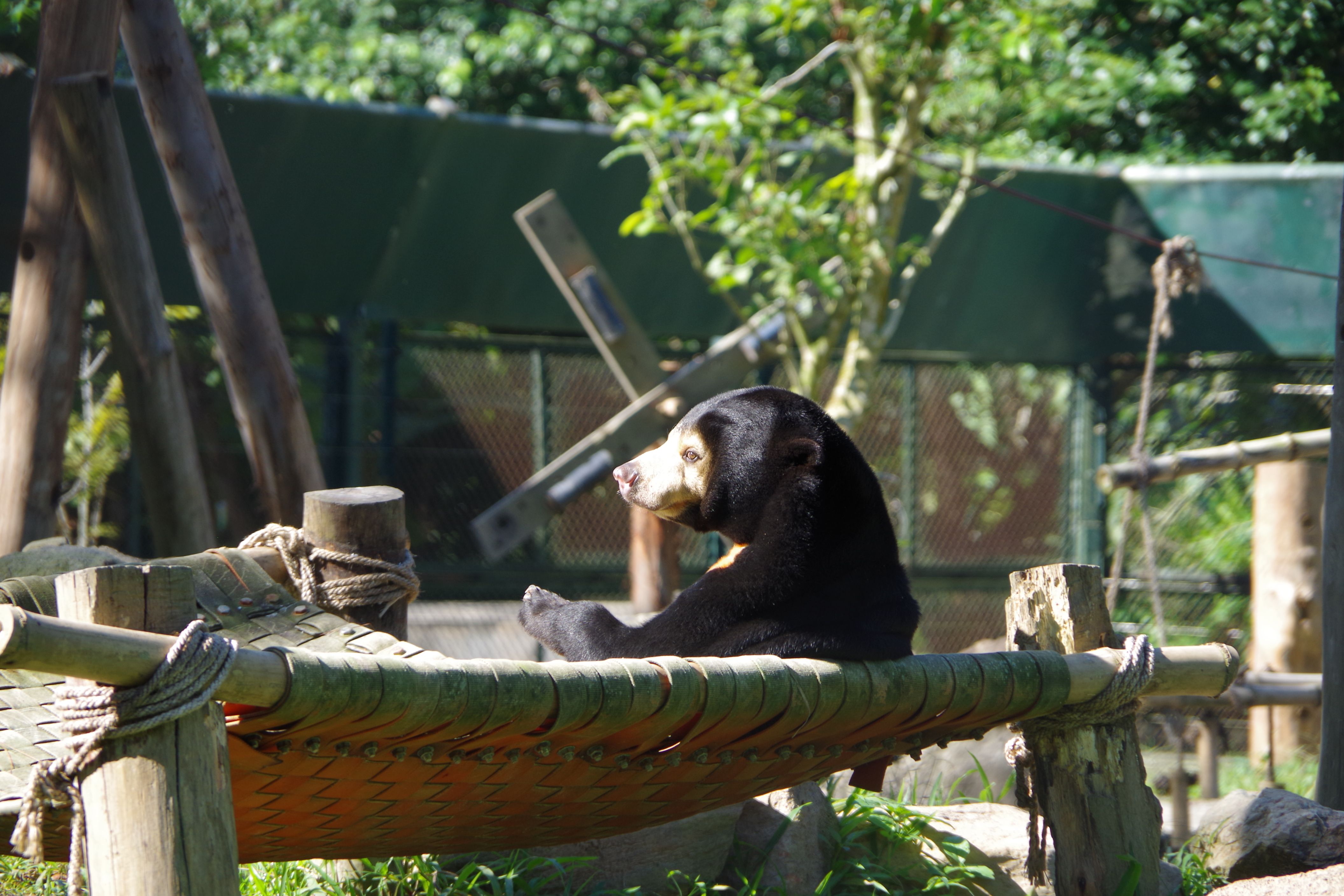 Animals Asia Vietnam Trek 2018 - ein Reisebericht