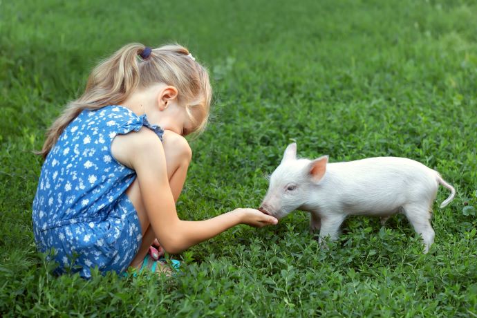 girl with small pig on grass