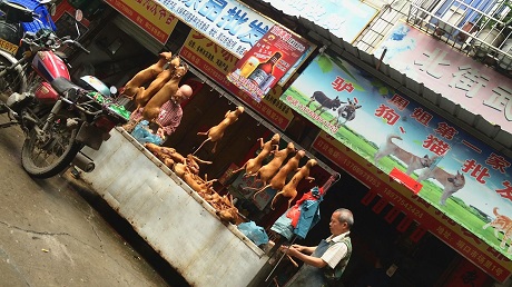 yulin - market stall