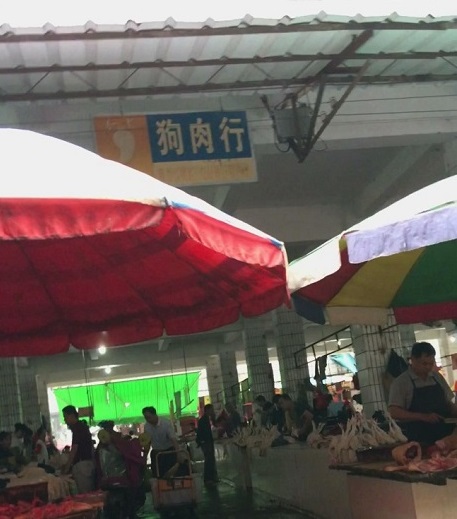market section
