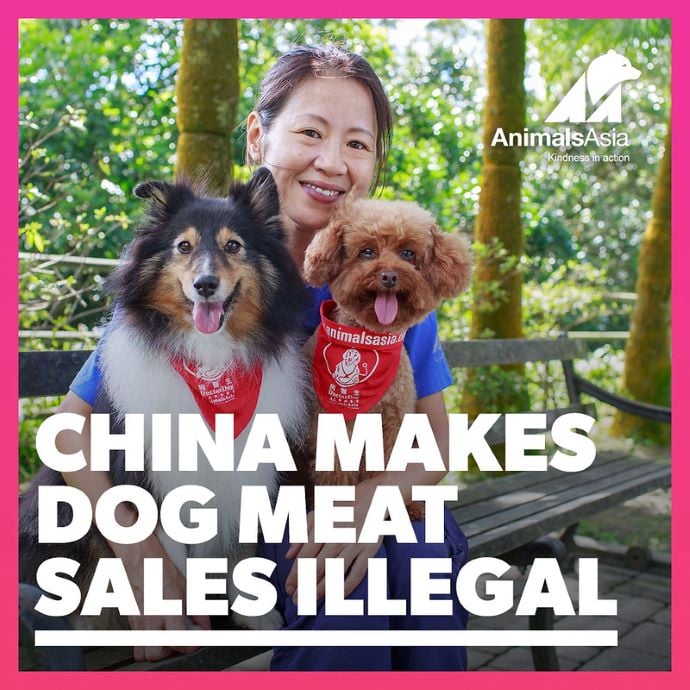 Dog meat sales illegal