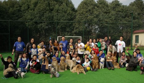 volunteers line up for a group photo