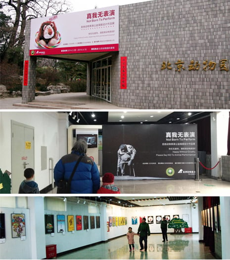 Beijing Zoo Against Animal Performance gallery
