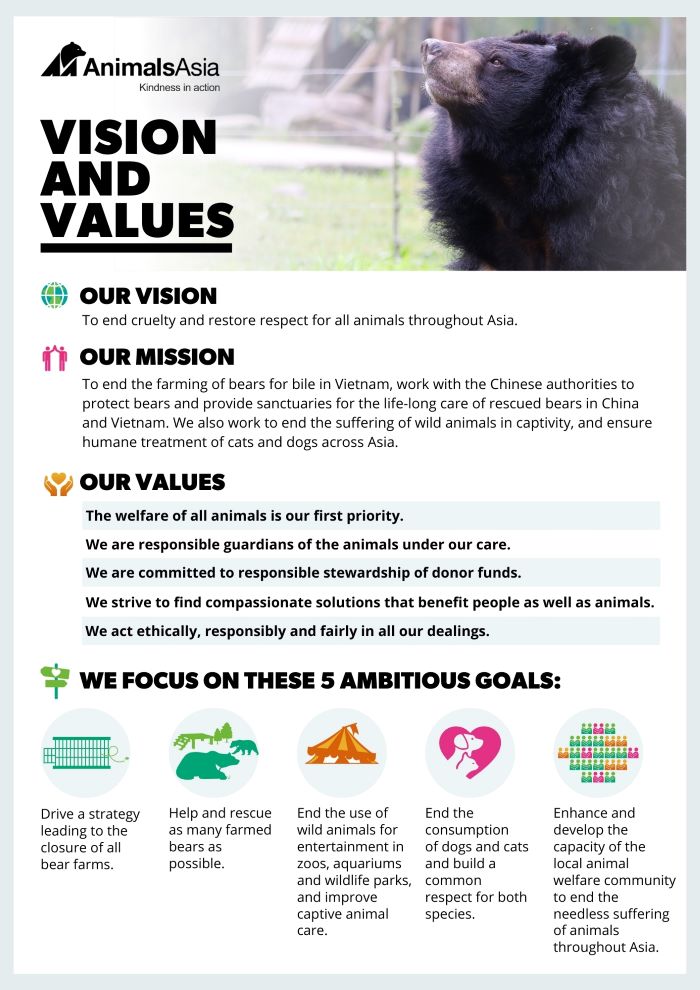 VISION AND VALUES