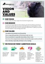 vision mission values poster