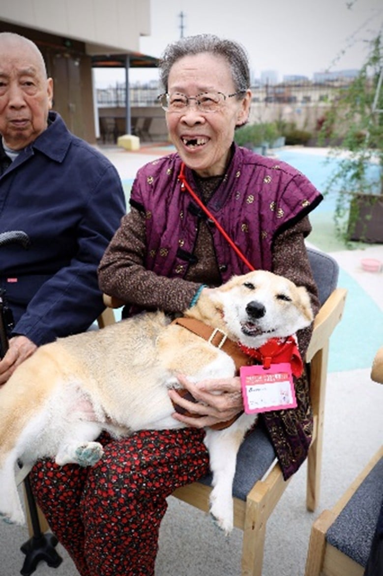 elderly woman with dog