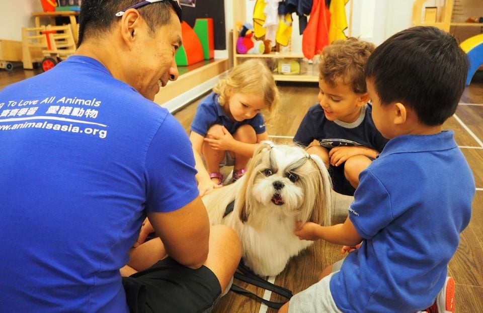 adult with dog and kids in classroom setting