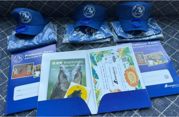 baseball hats tshirts learning materials on a blue background