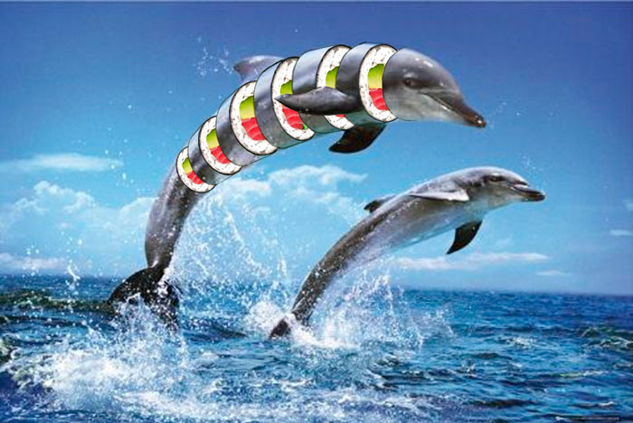 Dolphin sushi