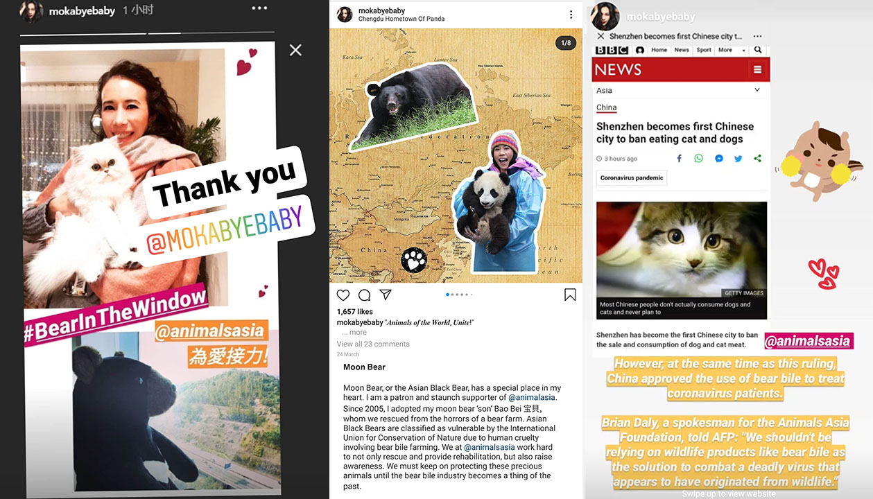Karen Mok supporting Animals Asia on Instagram