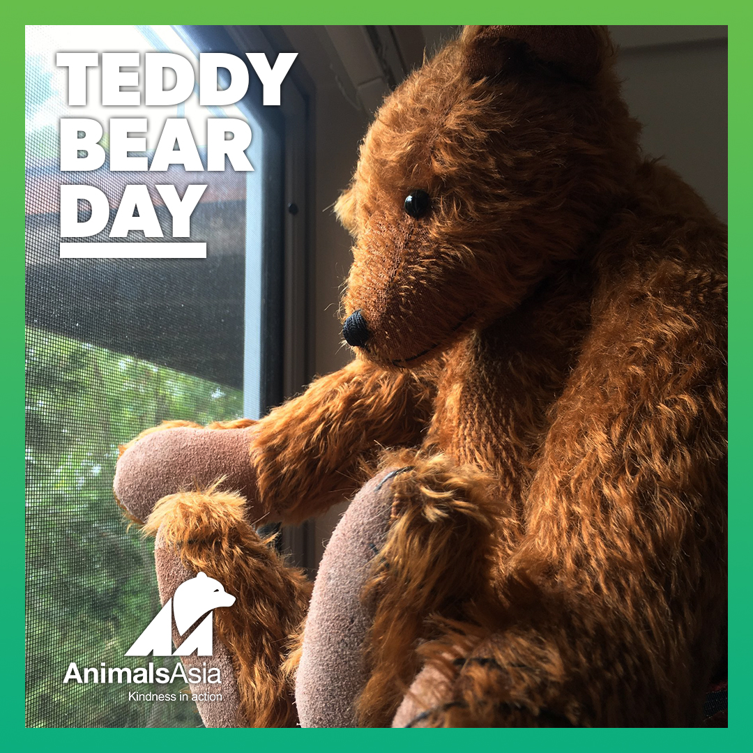 Today we're celebrating Teddy Bear Day!