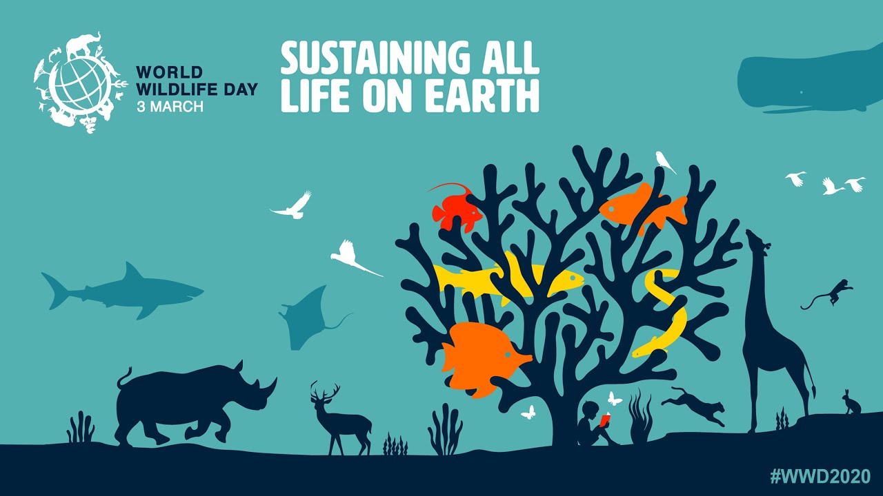 World Wildlife Day 3 March