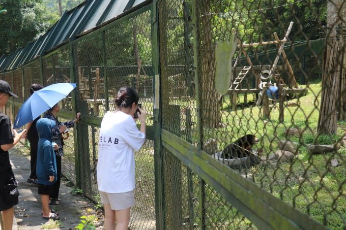 people viewing bears - VBRC