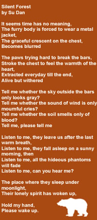 Silent Forest lyrics