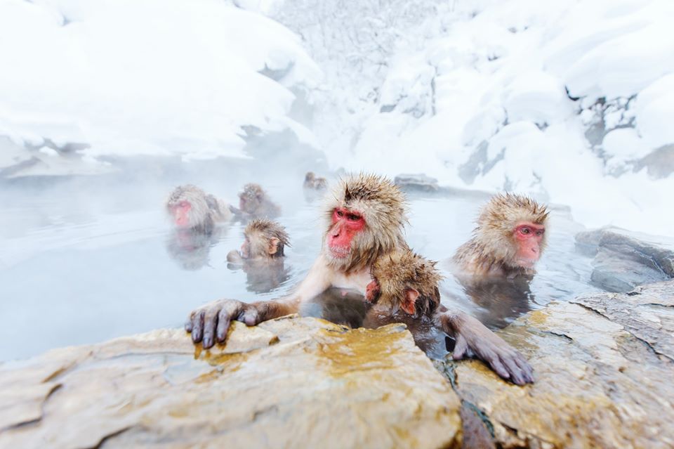 Hot spring