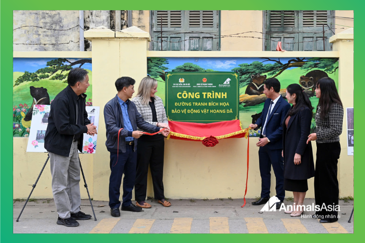 unveiling the sign